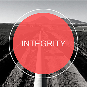 Integrity