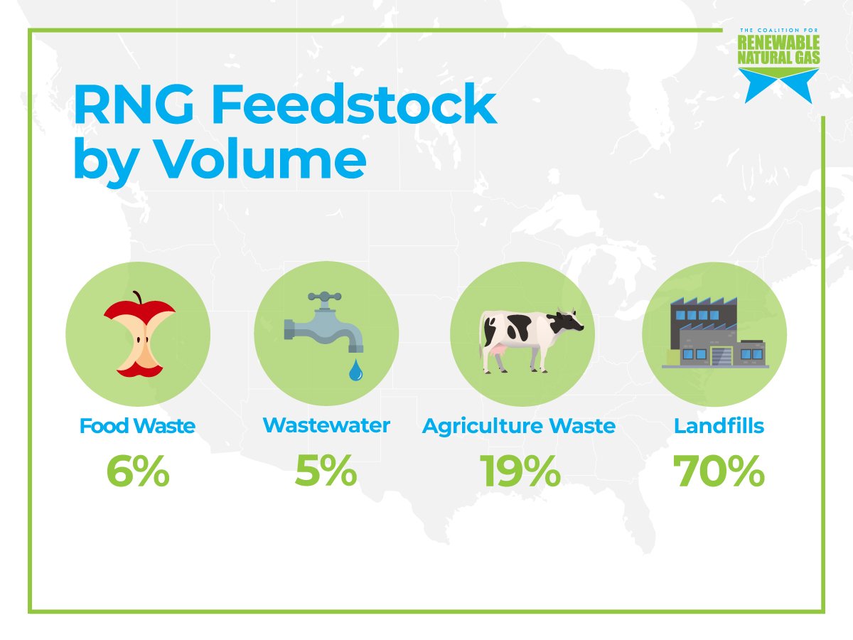 RNG-Volume-By-Feedstock.jpg